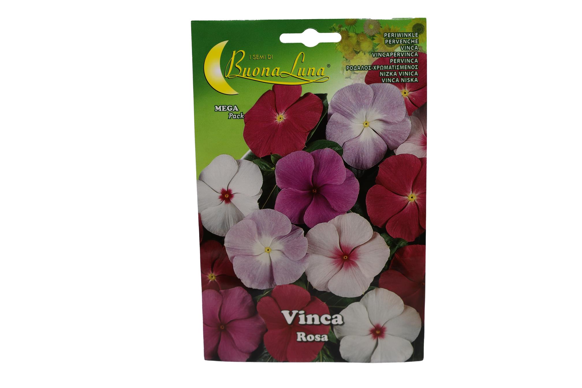 Buy Vinca (Normal) - Packet Online | Agriculture Plants | Qetaat.com
