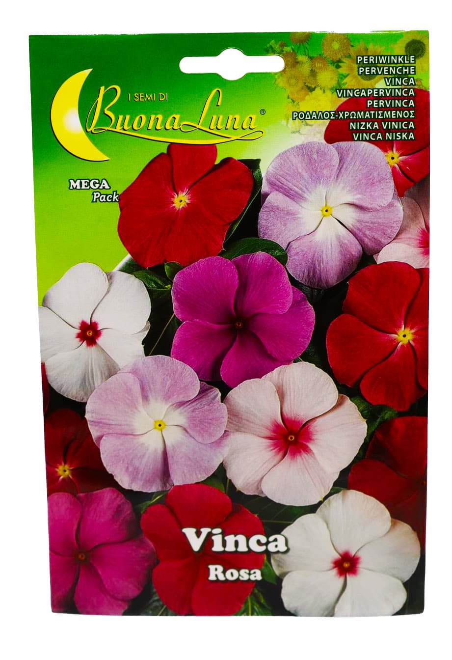 Buy Vinca (Normal) - Packet Online | Agriculture Plants | Qetaat.com