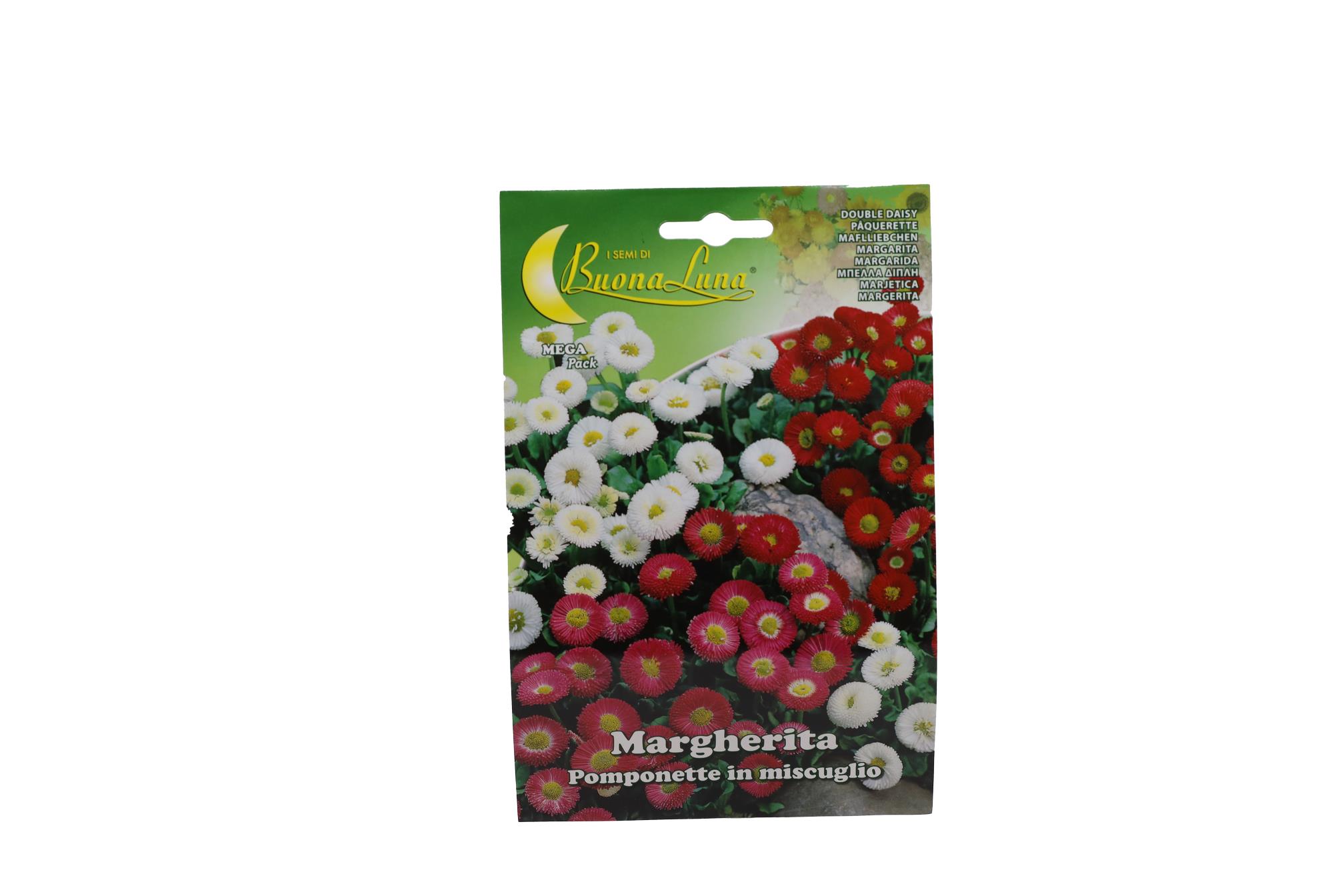 Buy Margherita (Normal) - Packet Online | Agriculture Plants | Qetaat.com