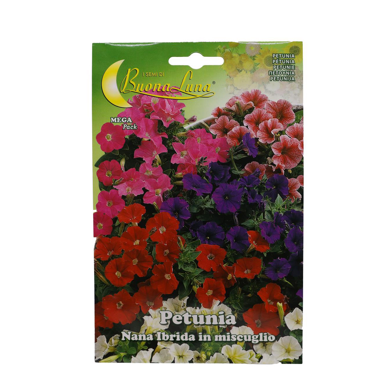 Buy Petunia (Normal) - Packet Online | Agriculture Plants | Qetaat.com