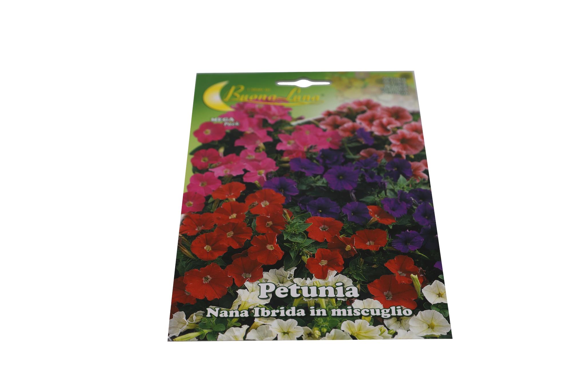 Buy Petunia (Normal) - Packet Online | Agriculture Plants | Qetaat.com