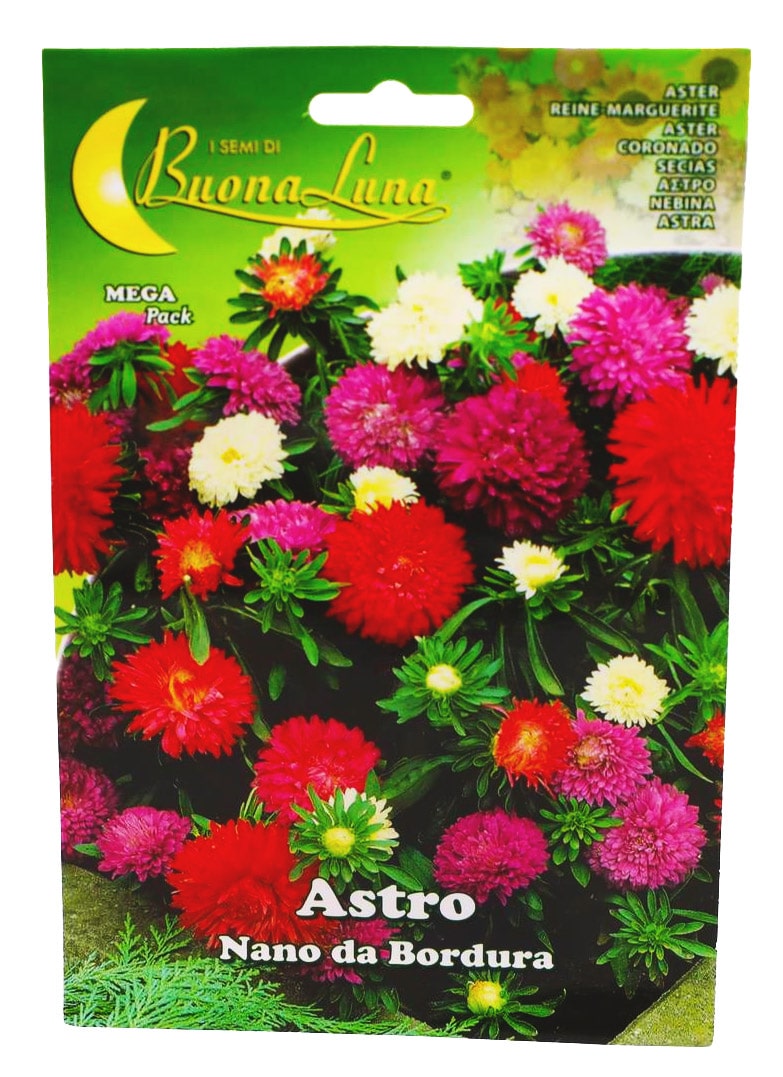 Buy Zinnia (Normal) - Packet Online | Agriculture Plants | Qetaat.com