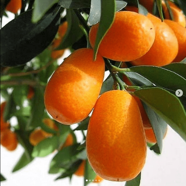 Orange (Cyprus)
