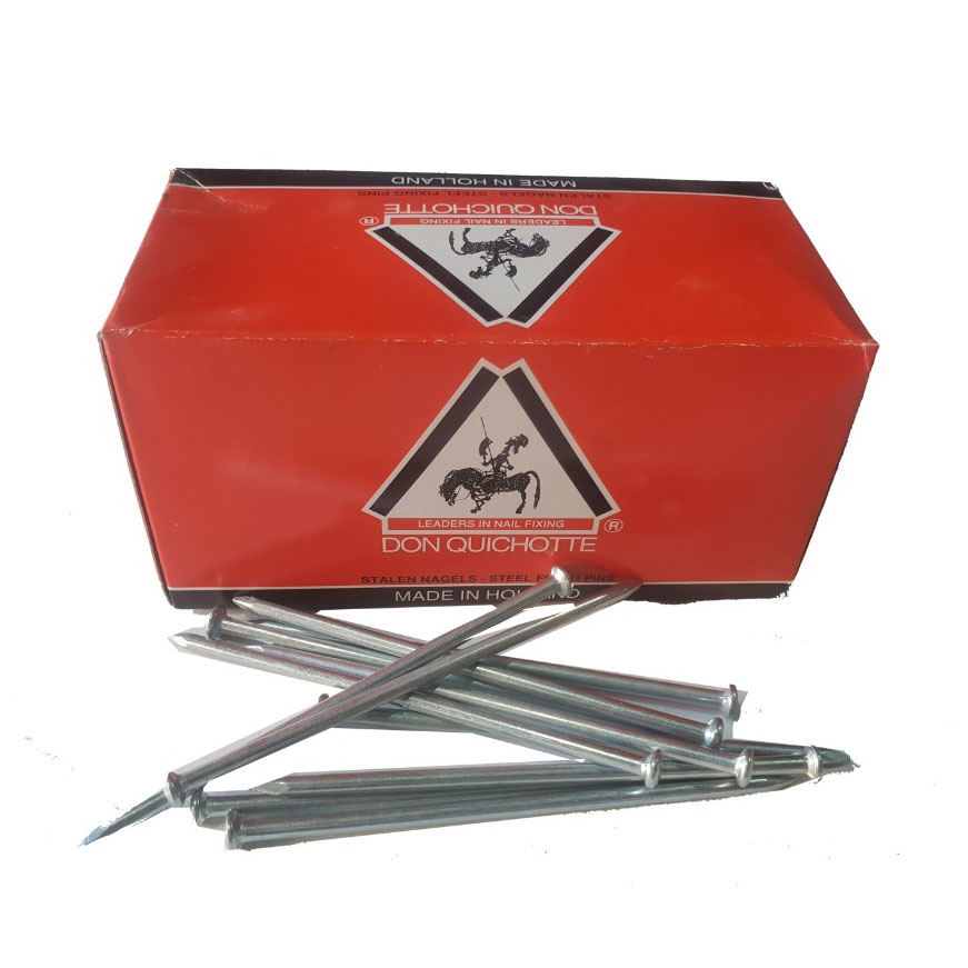 Buy Don Quichotte Steel Nails For Concrete - 100MM Online | Hardware Tools  