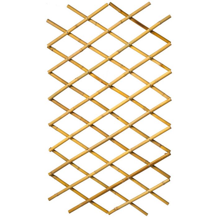 Bamboo Fencing 2.55Mx0.85M - Piece