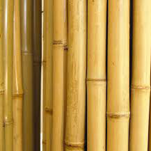 Bamboo Net - 2 Mtr
