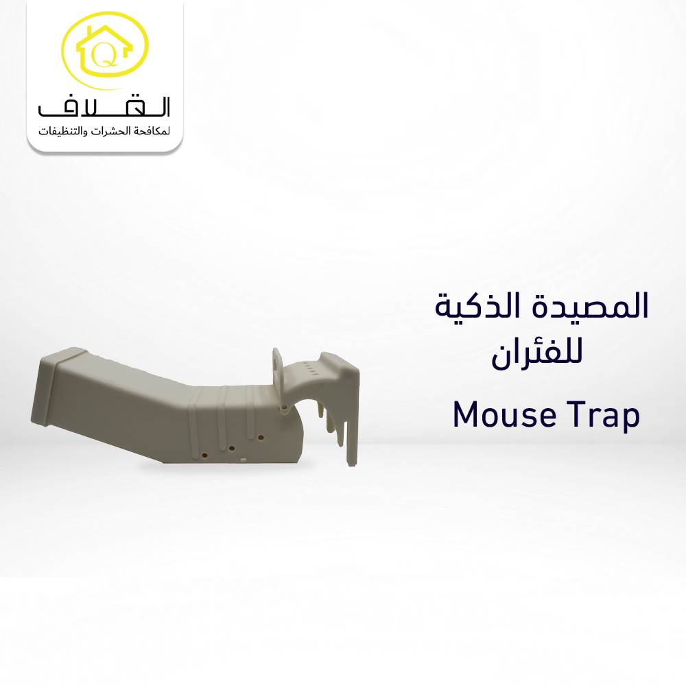 Buy TNL Wild Animal Trap Humane Mouse Trap TLPLT0101 Online | Construction Cleaning and Services | Qetaat.com