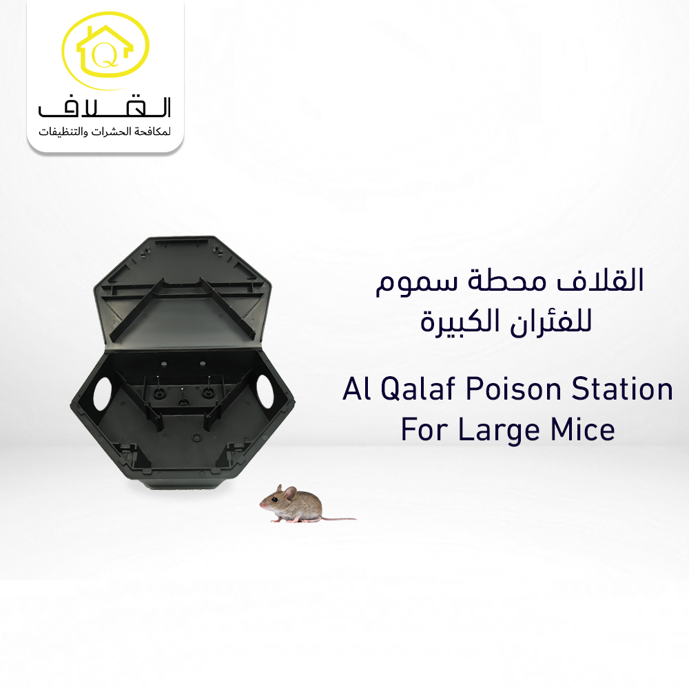 Buy TNL Plastic Rat Mouse Trap Online | Construction Cleaning and Services | Qetaat.com