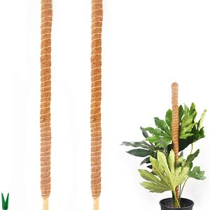 Coco Stick - 1.5Mtr