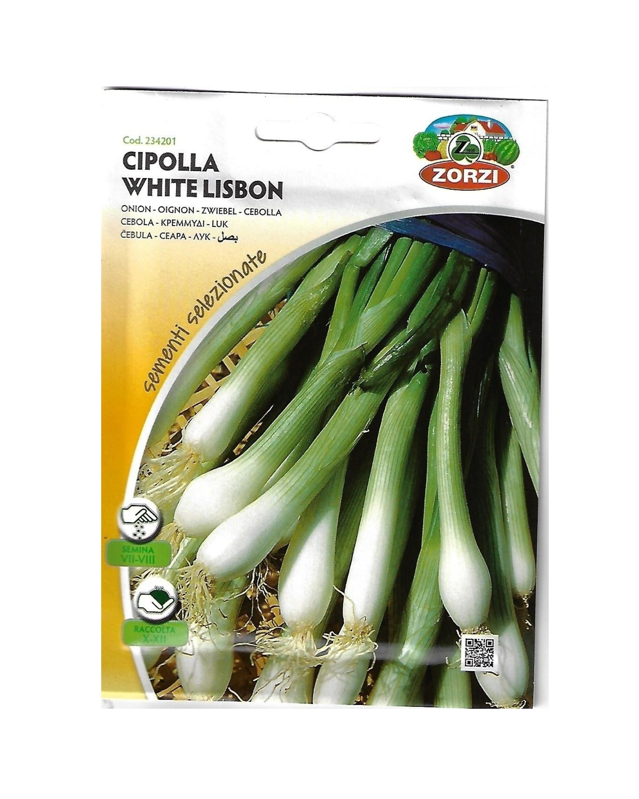 Cipolla White Lisbon
