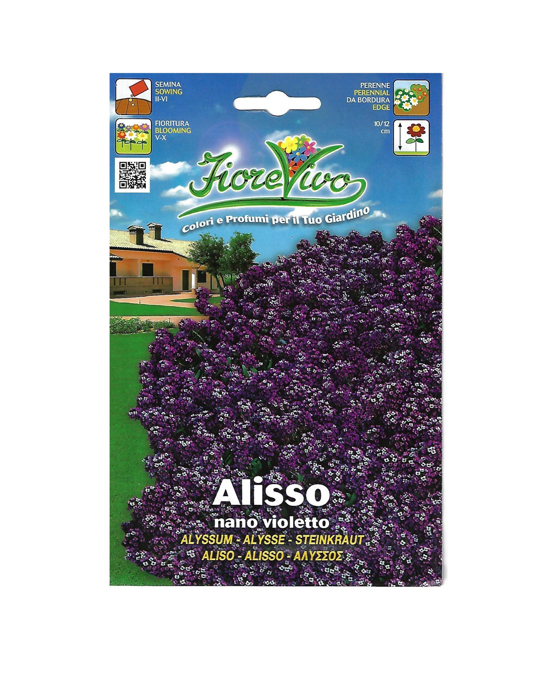 Buy Alisso-Winter Flower Seeds Online on Qetaat.com