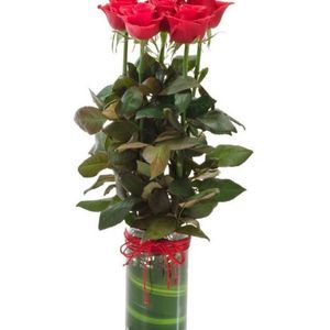 Red Roses In Glass Vase