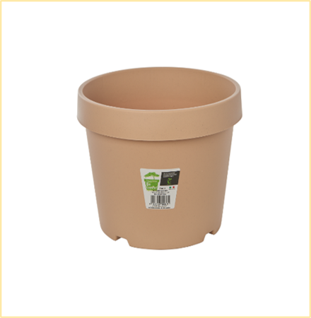Buy Italia 26 Online on Qetaat.com