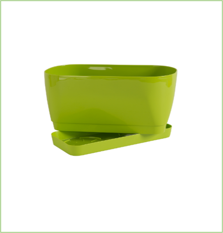 Buy Living Flower Box Online on Qetaat.com
