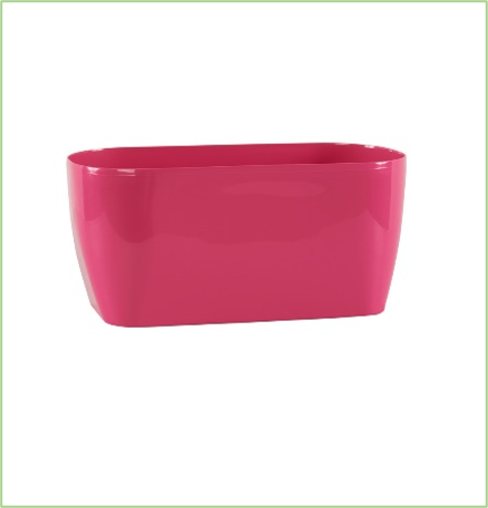 Buy Living Flower Box Online on Qetaat.com