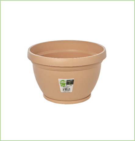 Buy Lipari with Saucer Online on Qetaat.com