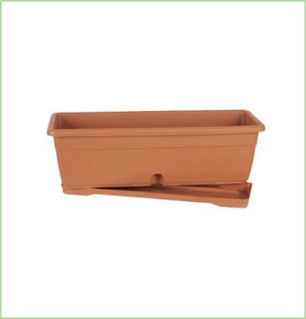 Buy Volterra with Saucer Online on Qetaat.com