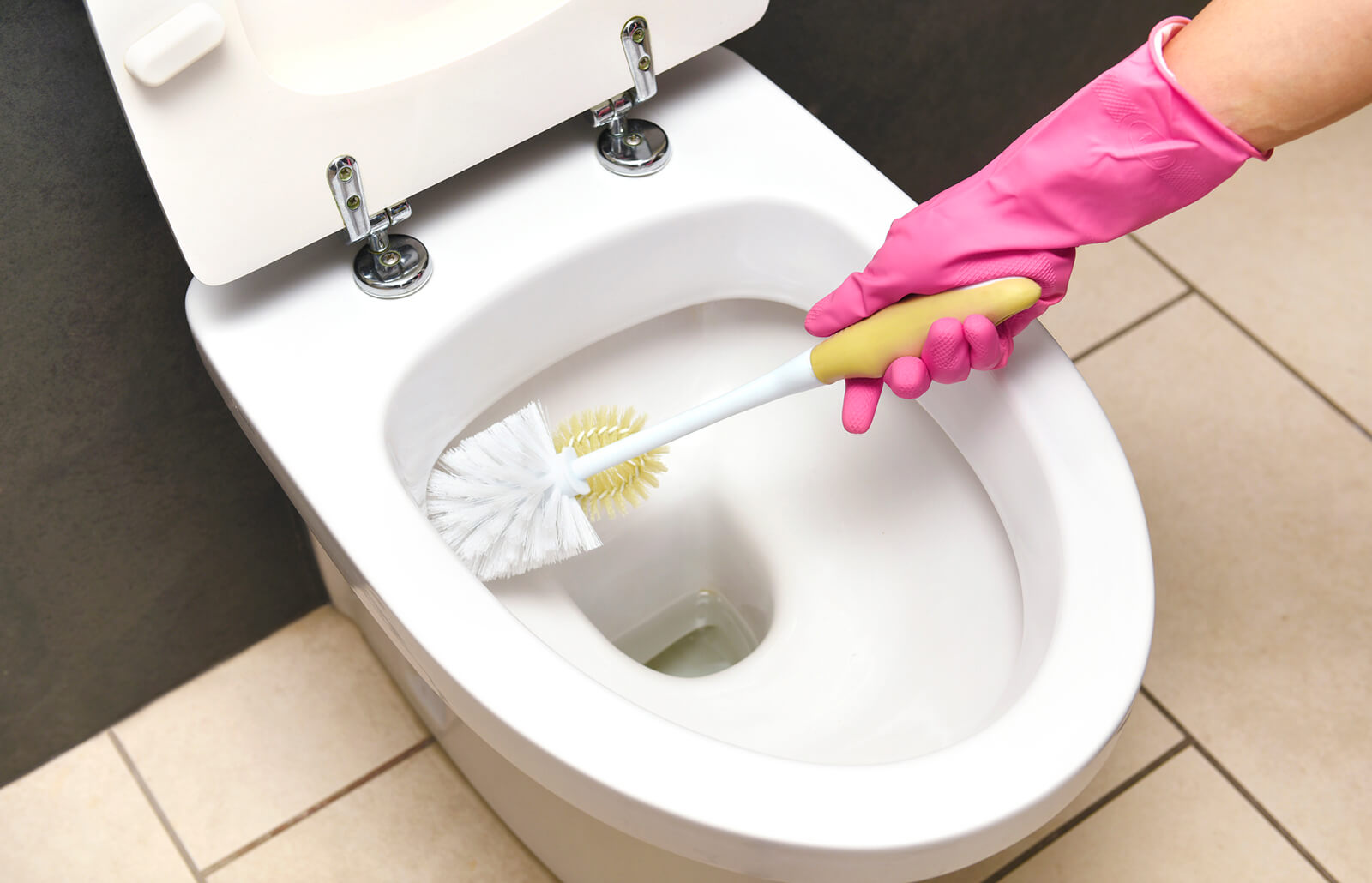 Toilet Cleaning