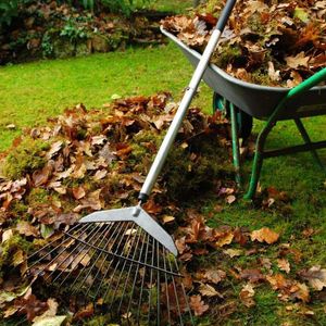 Gardens Cleaning