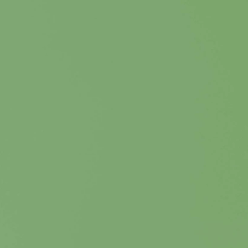 Greenlam - High Pressure Laminate (Hpl) - 248 Leaf Green Per Sheet