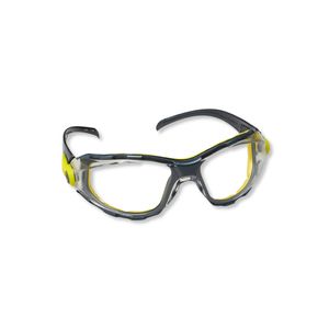 PACAYA CLEAR Safety Glasses Deltaplus