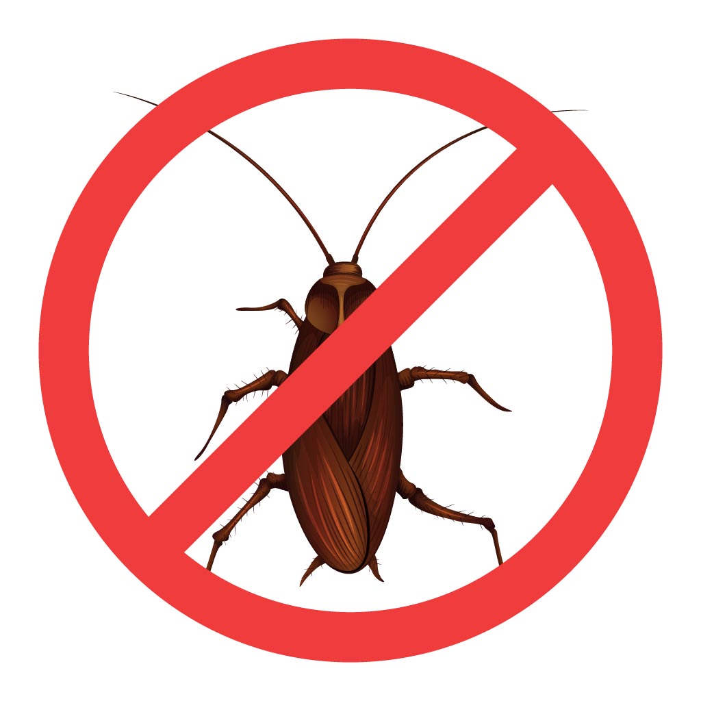 book for Cockroaches Control Service now