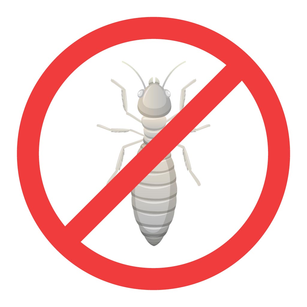 book for Termite Control Service now