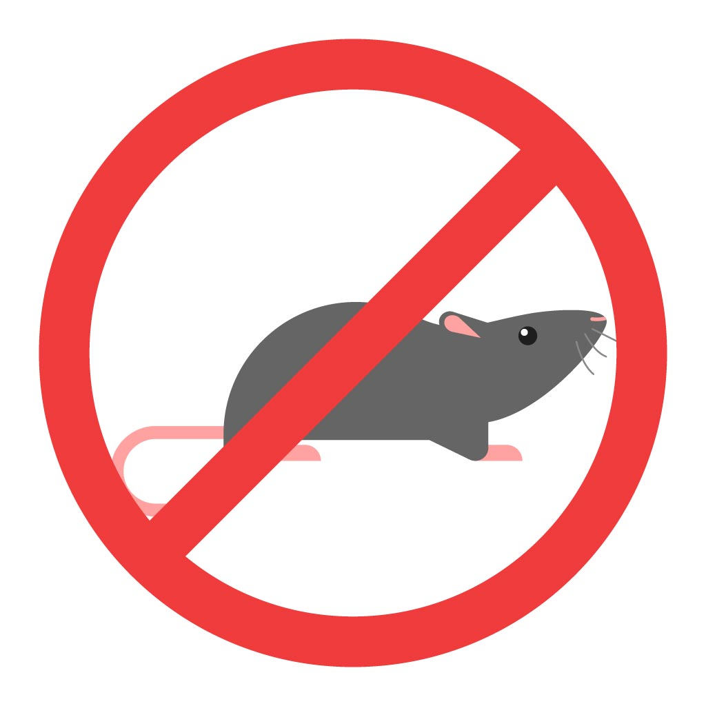 book for Rodents Control Service now