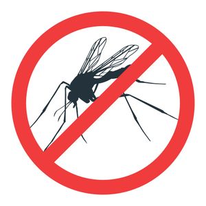 book for Mosquito Control Service now 🦟