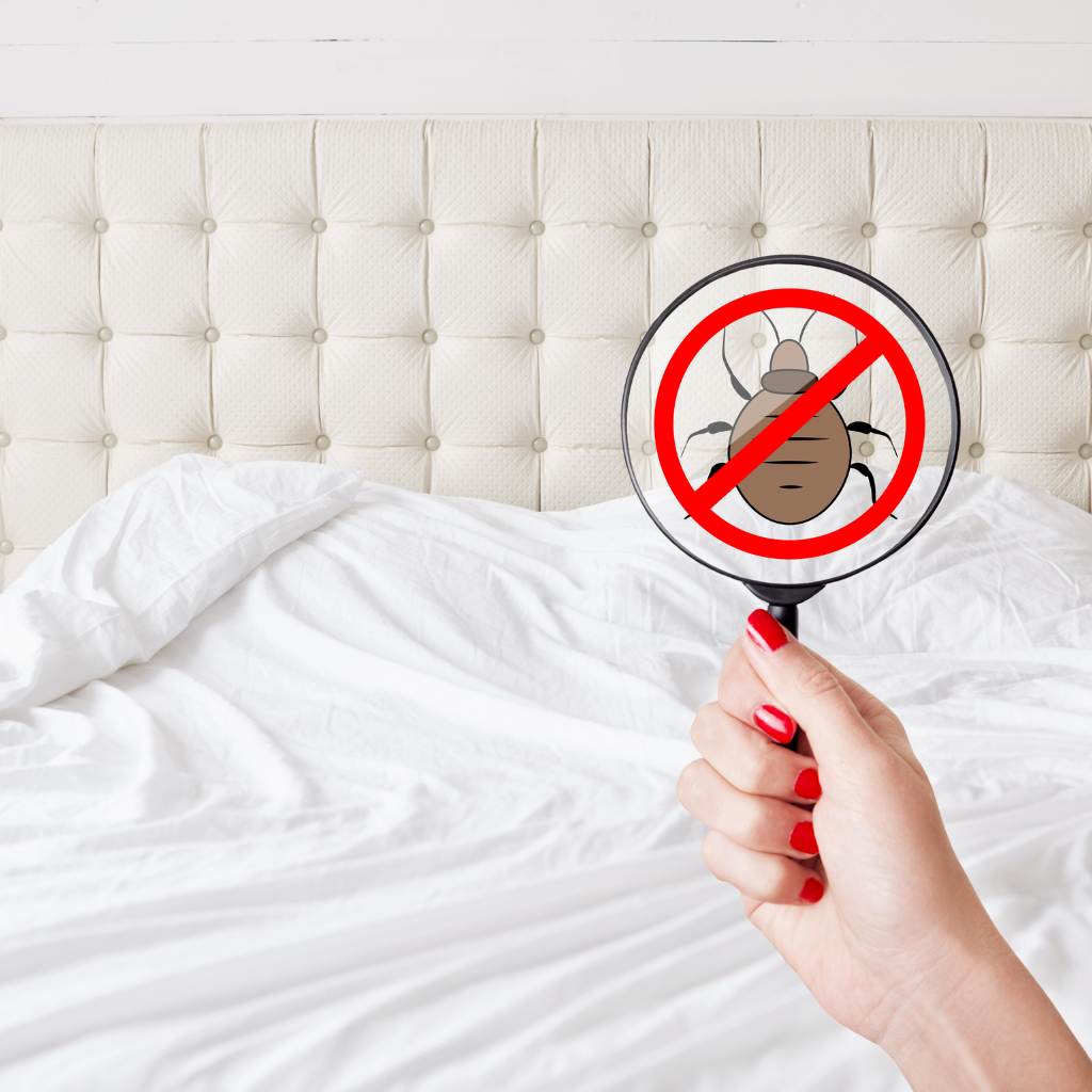 Bed bugs control