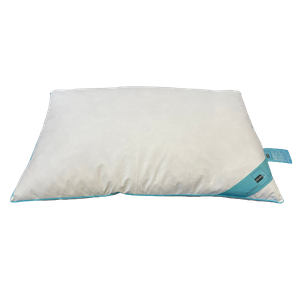 Cp Luxuriously Soft With Feather Pillow