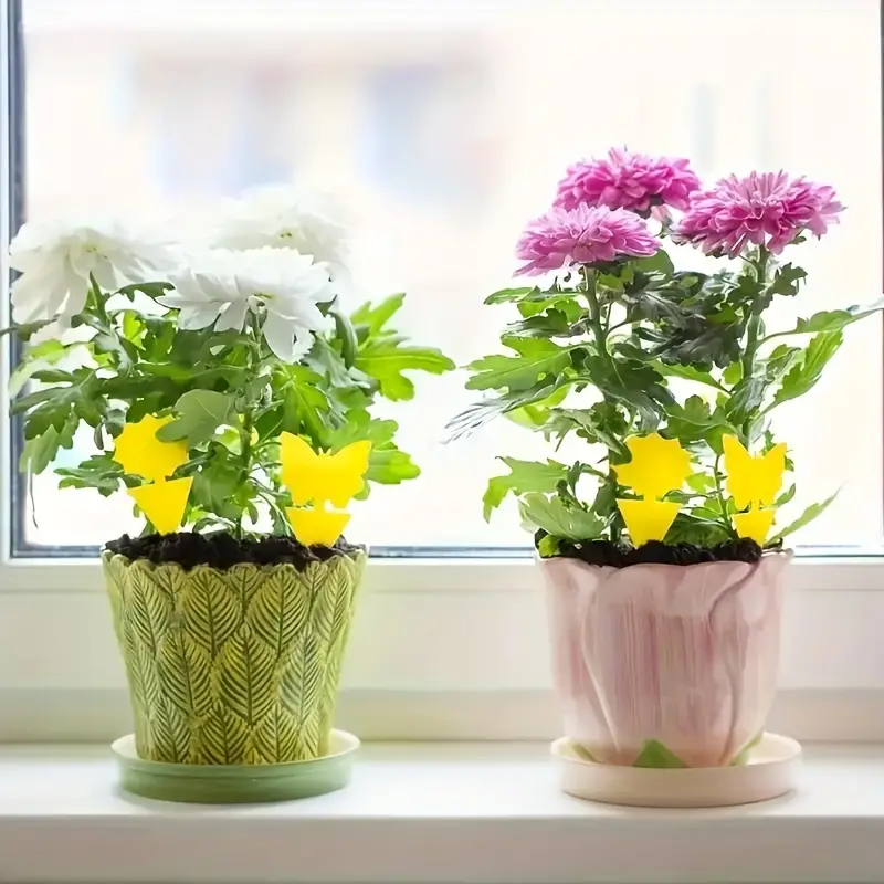 Butterfly "insect trap" for pots
