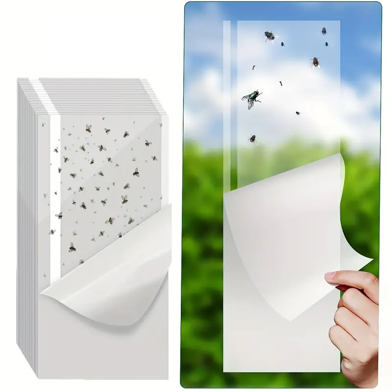 window fly traps